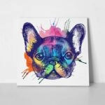 Πίνακας σε καμβά FRENCH BULLDOG HAND DRAWN