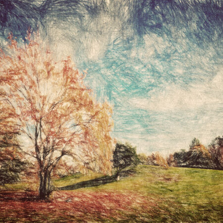 Πινακας σε καμβά AUTUMN PARK VINTAGE ART - Υπαιθρος Sticky 5