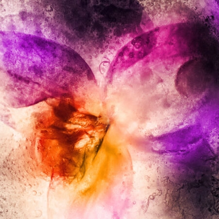 Πινακας σε καμβά FROZEN ORCHID FLOWERS ABSTRACT PAINTING - Αφηρημενα και Abstract Sticky 4