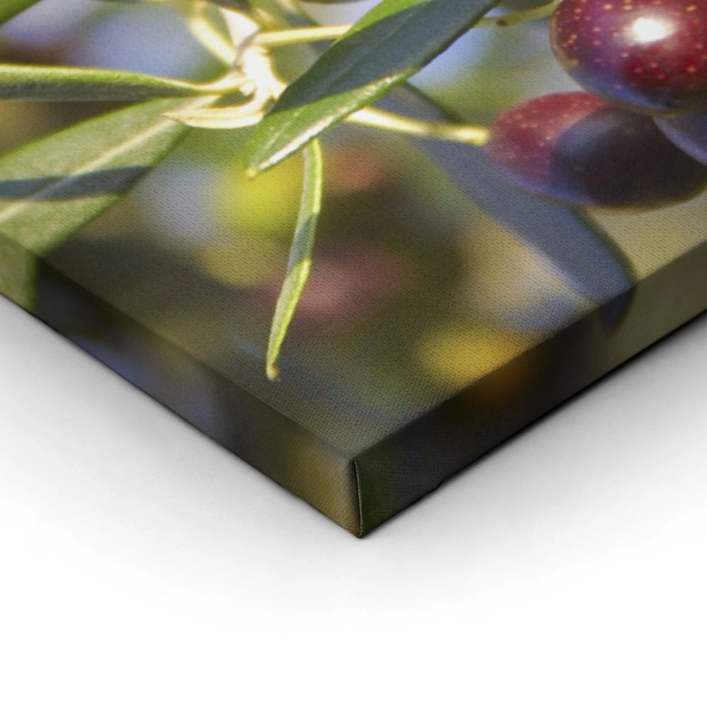 Πινακας σε καμβά OLIVES