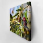 Πινακας σε καμβά OLIVES