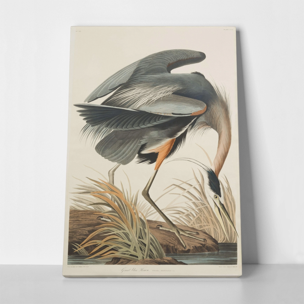 Πινακας σε καμβά AUDUBON GREAT BLUE HERON