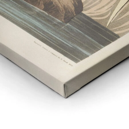 Πινακας σε καμβά AUDUBON GREAT BLUE HERON - Πουλια Sticky 2