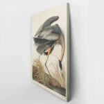 Πινακας σε καμβά AUDUBON GREAT BLUE HERON
