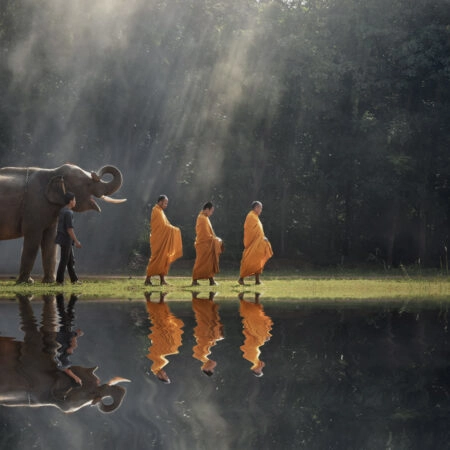 Πινακας σε καμβά BUDDHISTS AND ELEPHANT - Πορτραιτα και Φιγουρες Sticky 4