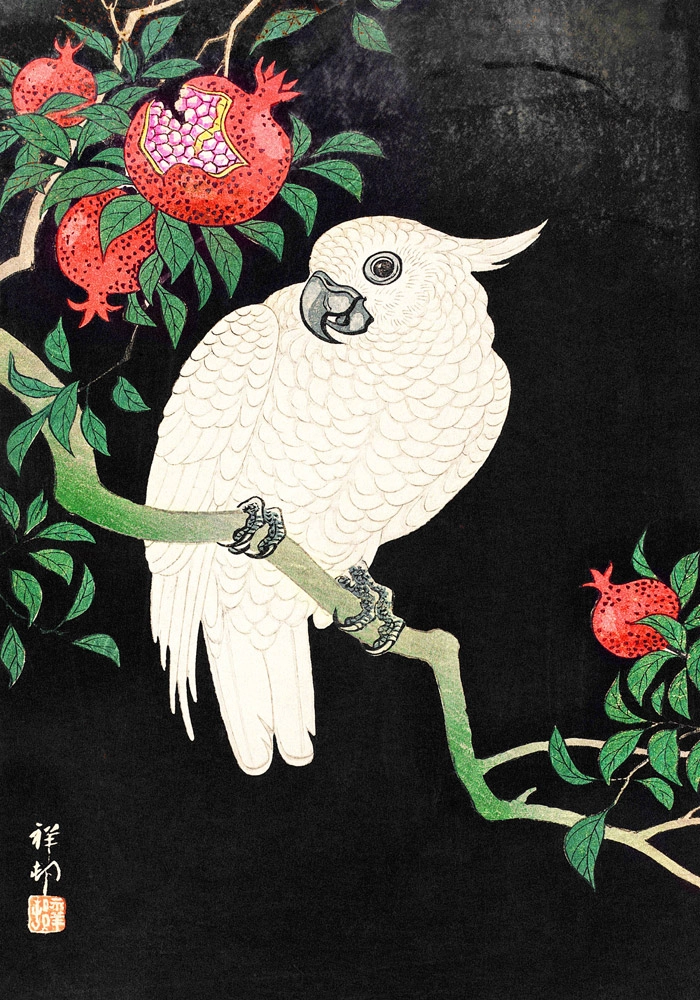 Πινακας σε καμβά COCKATOO AND POMEGRANATE