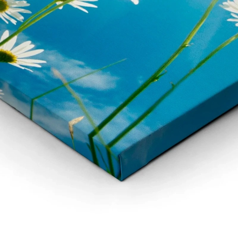 Πινακας σε καμβά DAISIES