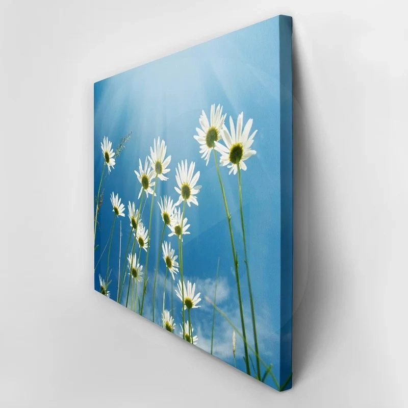 Πινακας σε καμβά DAISIES