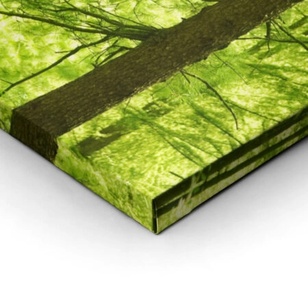 Πινακας σε καμβά GREEN FOREST - Δασος Sticky 1