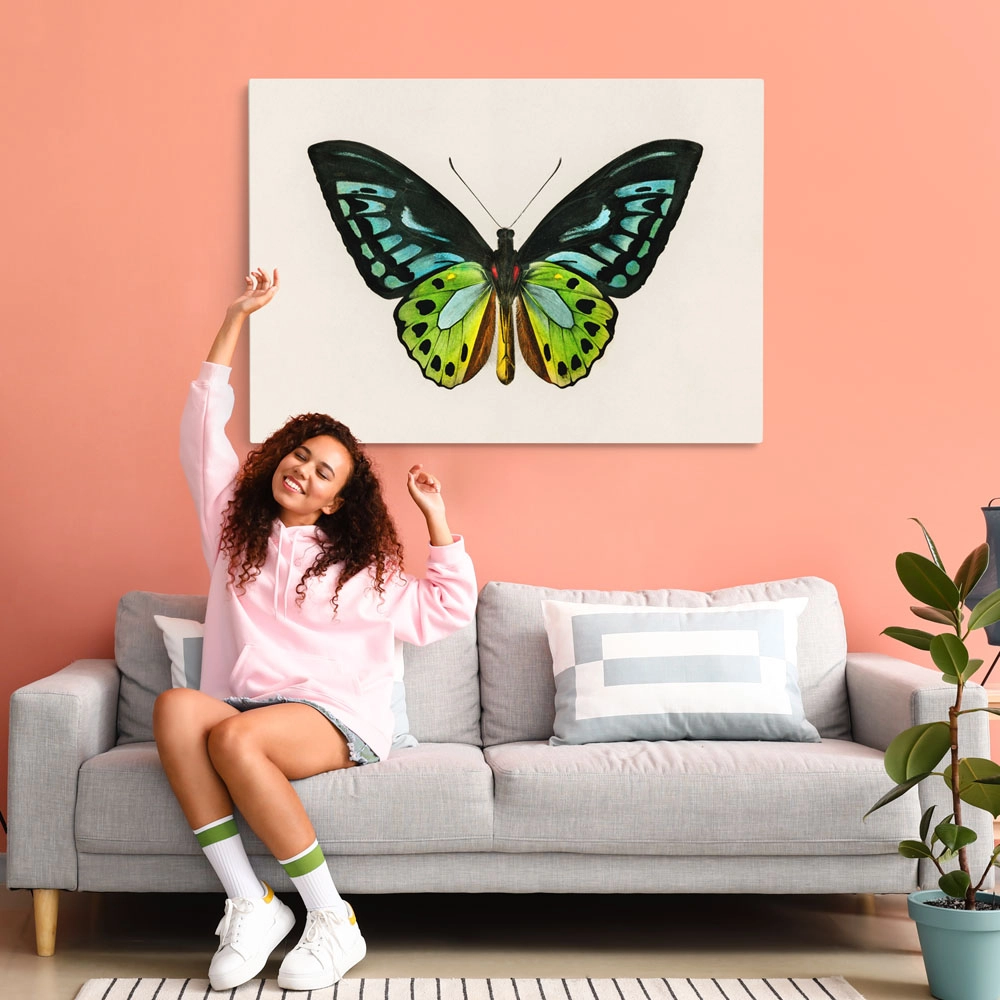 Πινακας σε καμβά GREEN BIRDWING BUTTERFLY