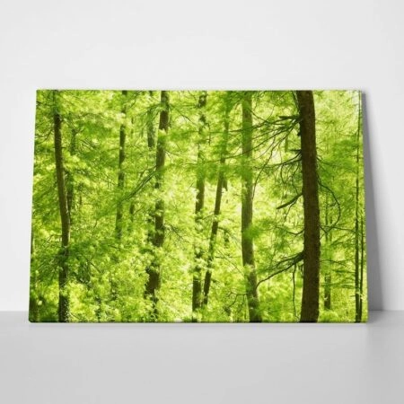 Πινακας σε καμβά GREEN FOREST