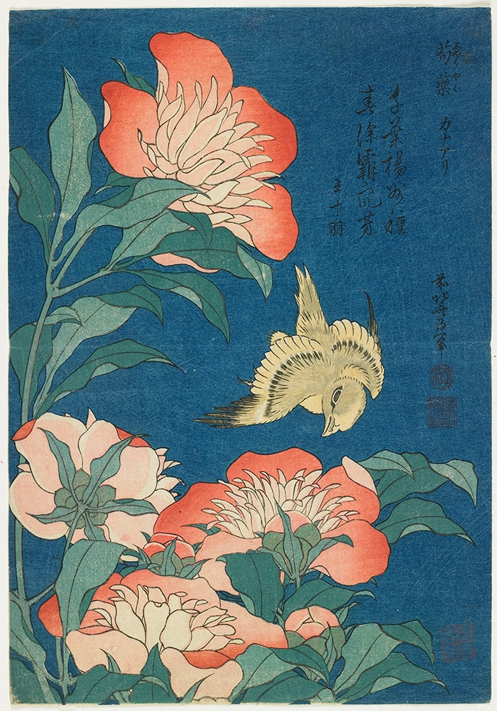 Πινακας σε καμβά HOKUSAI - PEONIES AND CANARY