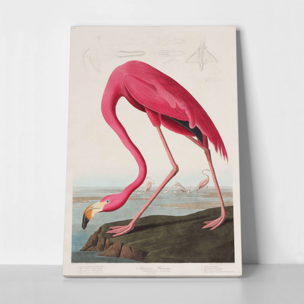 Πινακας σε καμβά PINK FLAMINGO
