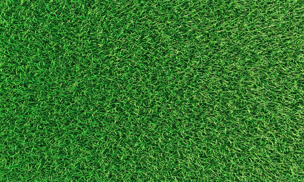 crop image