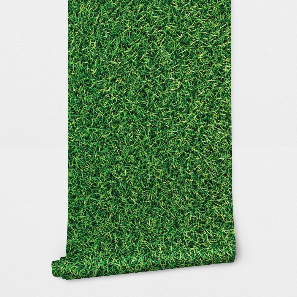 Αυτοκόλλητη Ταπετσαρία τοίχου GRASS