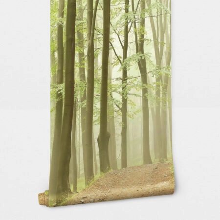 Αυτοκόλλητη Ταπετσαρία τοίχου RAINY FOREST - Τοπία Sticky 2
