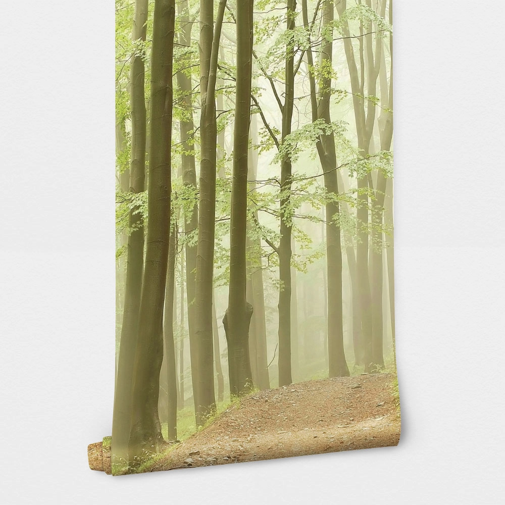 Αυτοκόλλητη Ταπετσαρία τοίχου RAINY FOREST