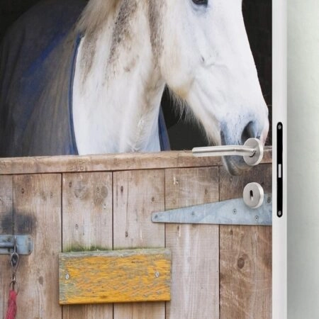 Αυτοκολλητο Πορτας HORSE - Αλλα Sticky 1