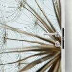 Αυτοκολλητο Πορτας DANDELION SEED