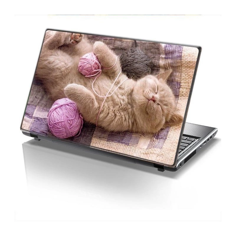 Αυτοκόλλητο Laptop CAT