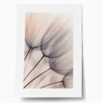 Πόστερ ABSTRACT DANDELION FLOWERS