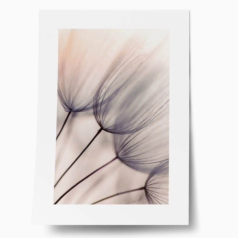 Πόστερ ABSTRACT DANDELION FLOWERS
