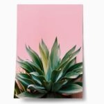 Πόστερ ALOE ON PINK BG