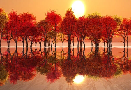 Πίνακας Πανοραμικός σε καμβά AUTUMN SUNSET - Ηλιοβασιλεμα Sticky 4