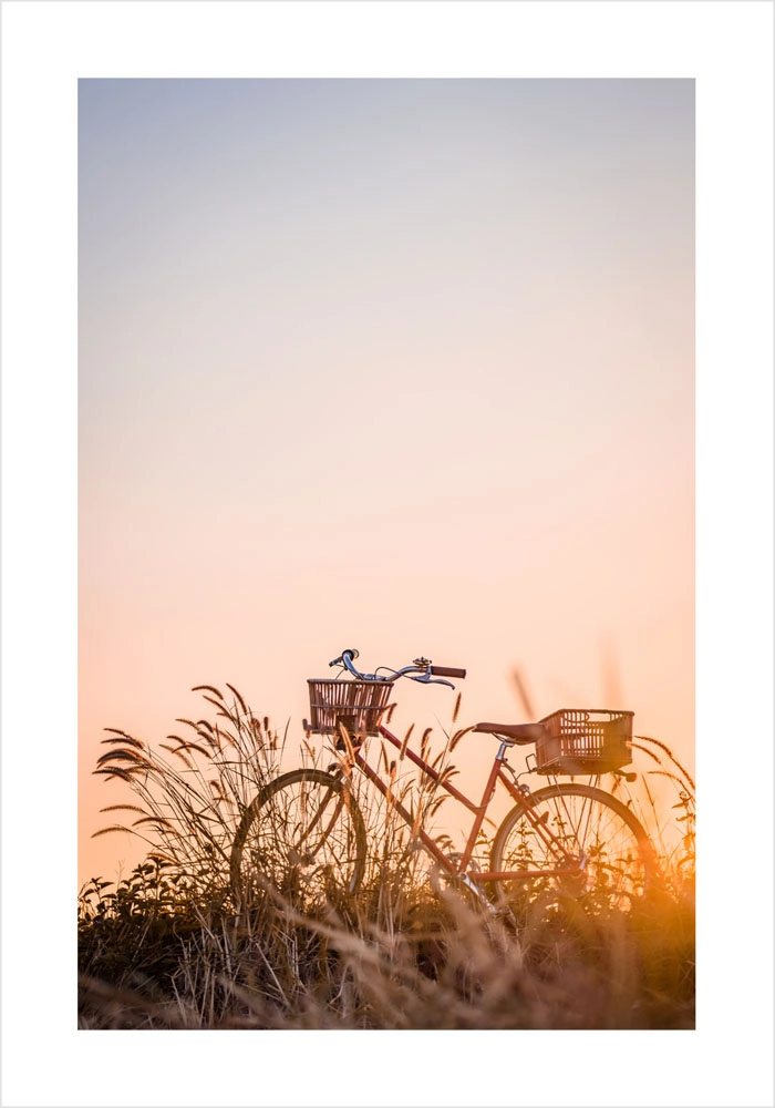 Πόστερ BIKE IN FIELD