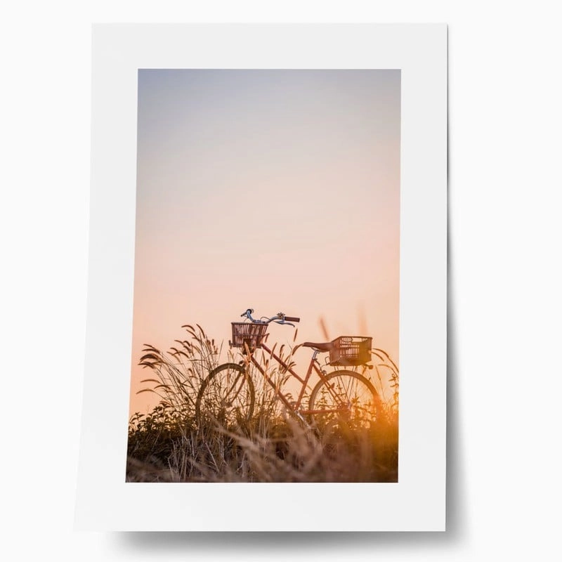 Πόστερ BIKE IN FIELD
