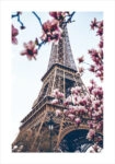 Πόστερ BLOSSOMING MAGNOLIA EIFFEL TOWER