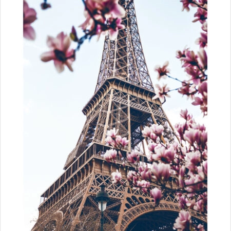 Πόστερ BLOSSOMING MAGNOLIA EIFFEL TOWER - Posters Sticky 2