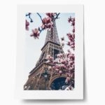 Πόστερ BLOSSOMING MAGNOLIA EIFFEL TOWER