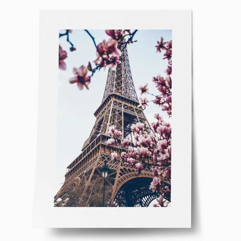 Πόστερ BLOSSOMING MAGNOLIA EIFFEL TOWER