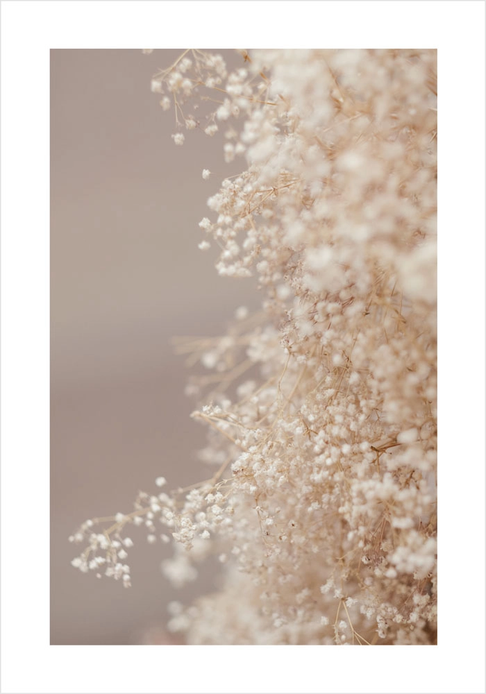 Πόστερ BLURRED WHITE FLOWERS