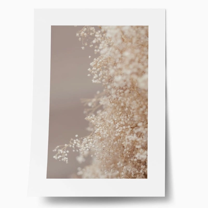Πόστερ BLURRED WHITE FLOWERS