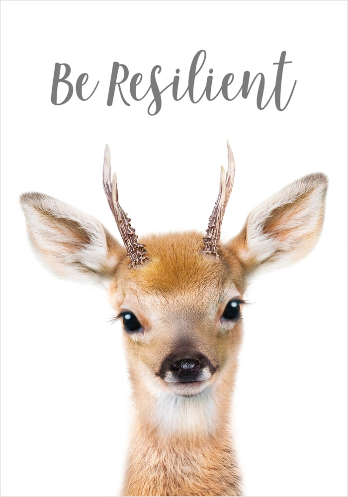 Πόστερ CUTE DEER
