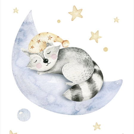 Πόστερ CUTE DREAMING RACOON - Παιδικά Sticky 2