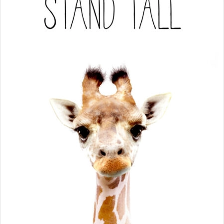Πόστερ CUTE GIRAFFE - Παιδικά Sticky 2
