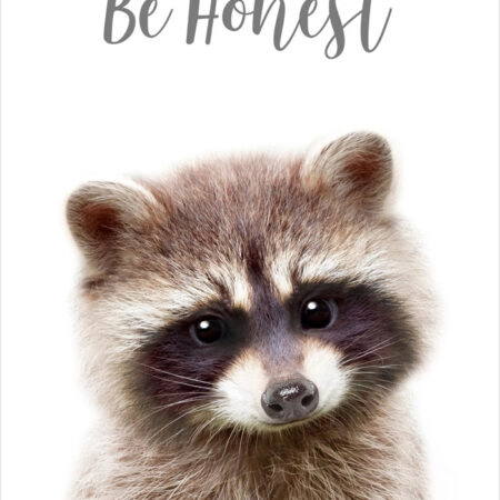 Πόστερ CUTE RACOON - Παιδικά Sticky 2