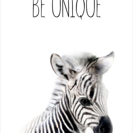 Πόστερ CUTE ZEBRA - Παιδικά Sticky 2