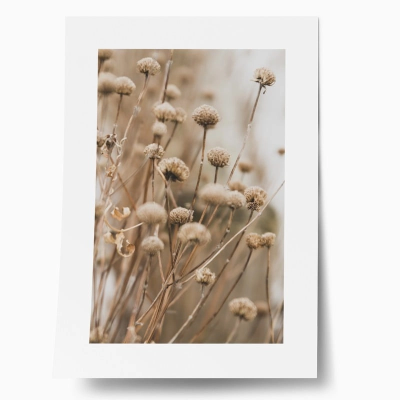 Πόστερ DRIED FLOWERS IN WINTER