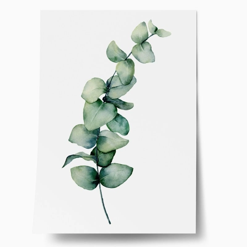 Πόστερ EUCALYPTUS BRANCH