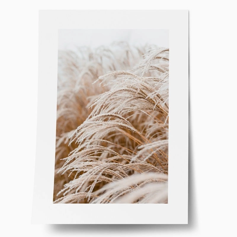 Πόστερ FROSTED GRASS