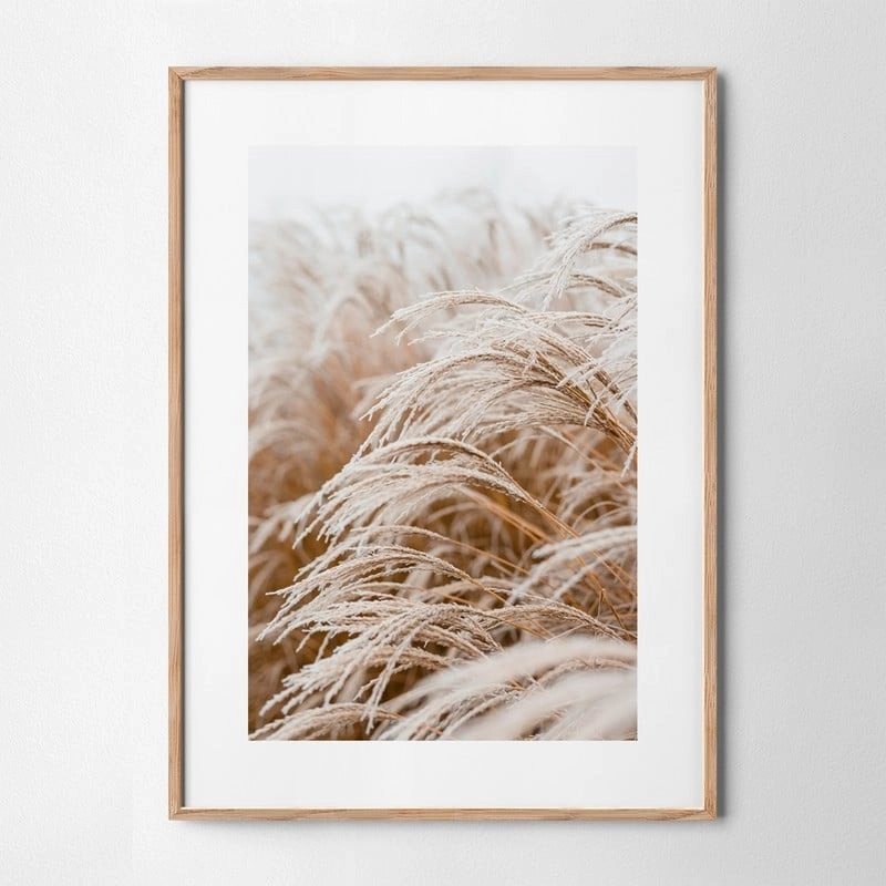 Πόστερ FROSTED GRASS