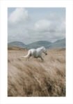 Πόστερ HORSE ON FIELD