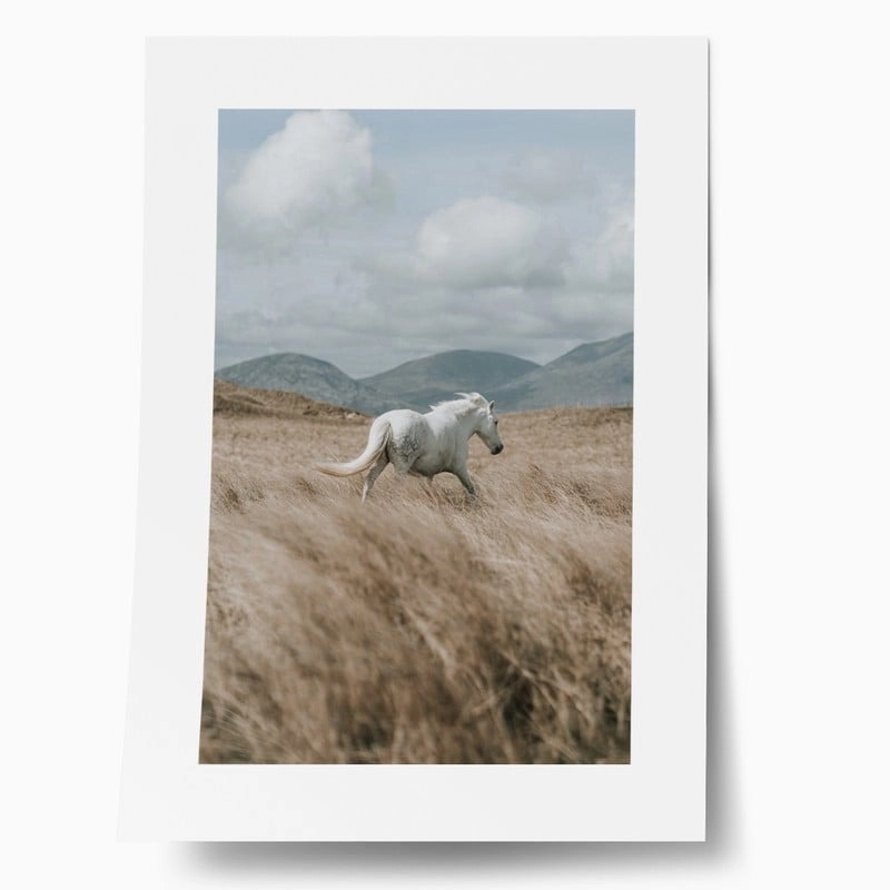 Πόστερ HORSE ON FIELD