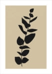 Πόστερ MINIMALIST BOTANICAL BRANCH 2