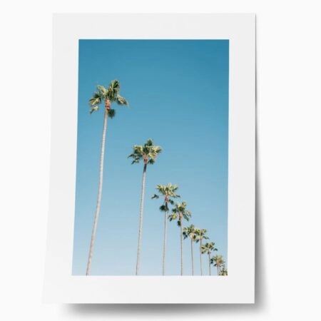 Πόστερ PALM TREES IN BLUE SKY - Τοπια - Φυση Sticky 1