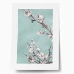 Πόστερ SPRING BLOSSOM CHERRY TREE